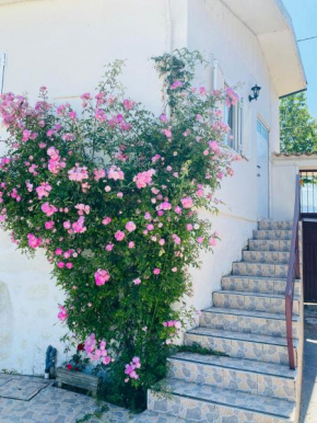 Apartment QUINTA DE AREIAS